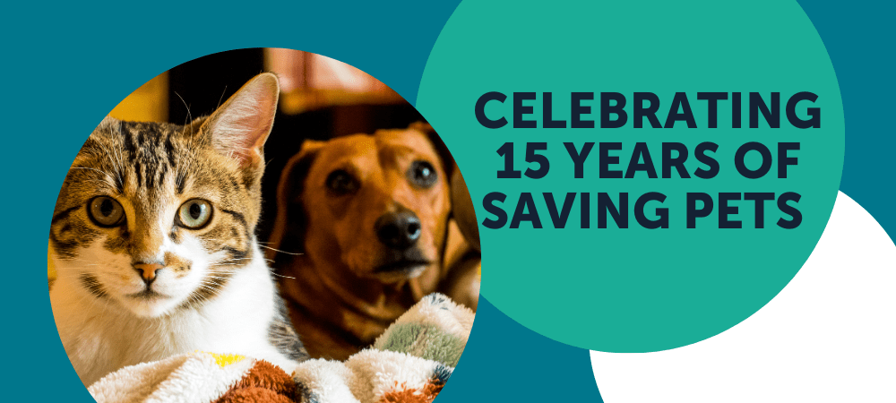Michelson Found Animals Celebrates 15 Years of Saving Pets and Enriching  Lives