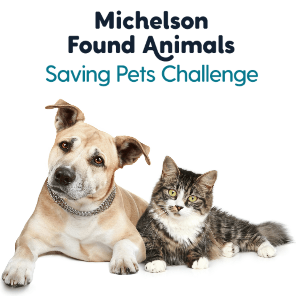 Saving Pets Challenge 2022