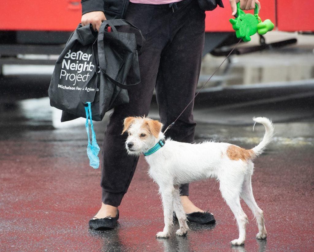 BNP attendee with dog and goodie bag