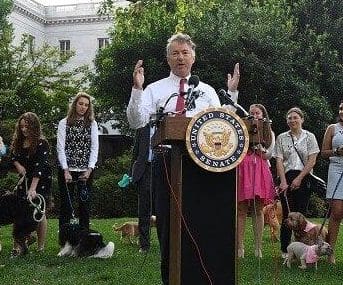 Bipartisan Congressional Leaders Introduce FDA Modernization Act to Curb Use of Animals in Medical Testing