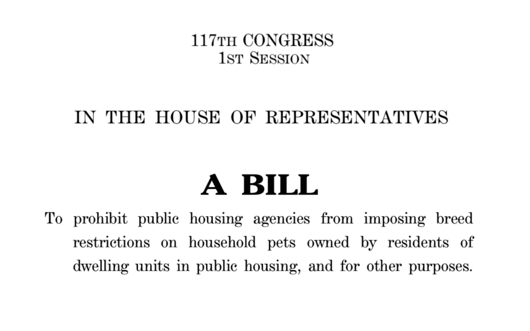 Congress Members Cite MFA’s Pet-Inclusive Housing Initiative Report in Introducing the ‘Pets Belong with Families Act’