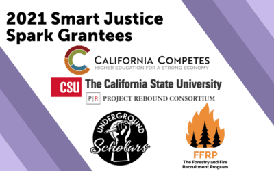 Get to Know Our 2021 Smart Justice Spark Grantees