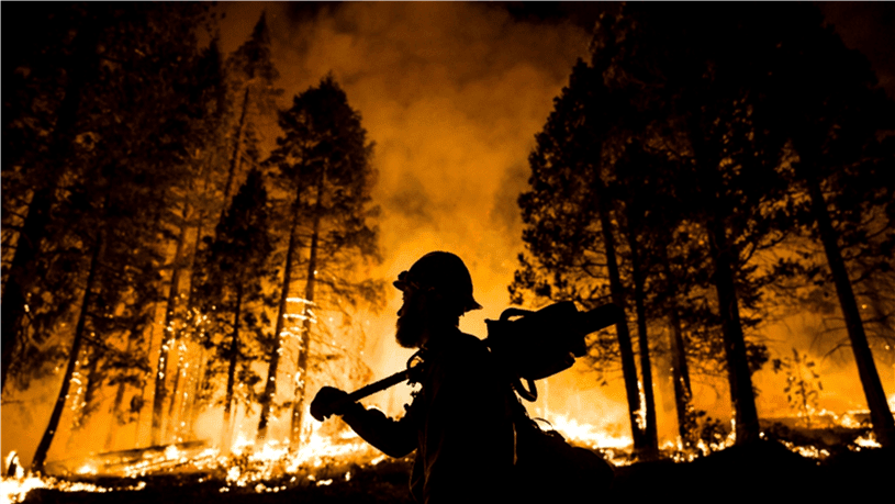 fire fighter during a forest fire
