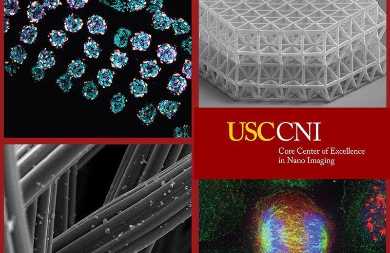 USC’s New Cryogenic Electron Microscopy Facility Officially Opens for Business