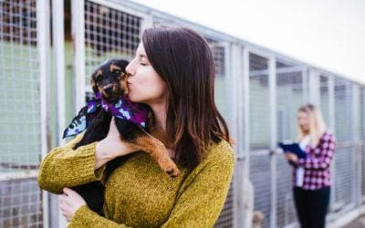 LA Animal Services, Michelson Found Animals Foundation & the Chargers Impact Fund Combine Efforts to Provide Critical Spay and Neuter Surgeries for Shelter Pets